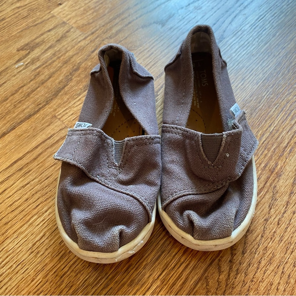 Toddler size 8 TOMS